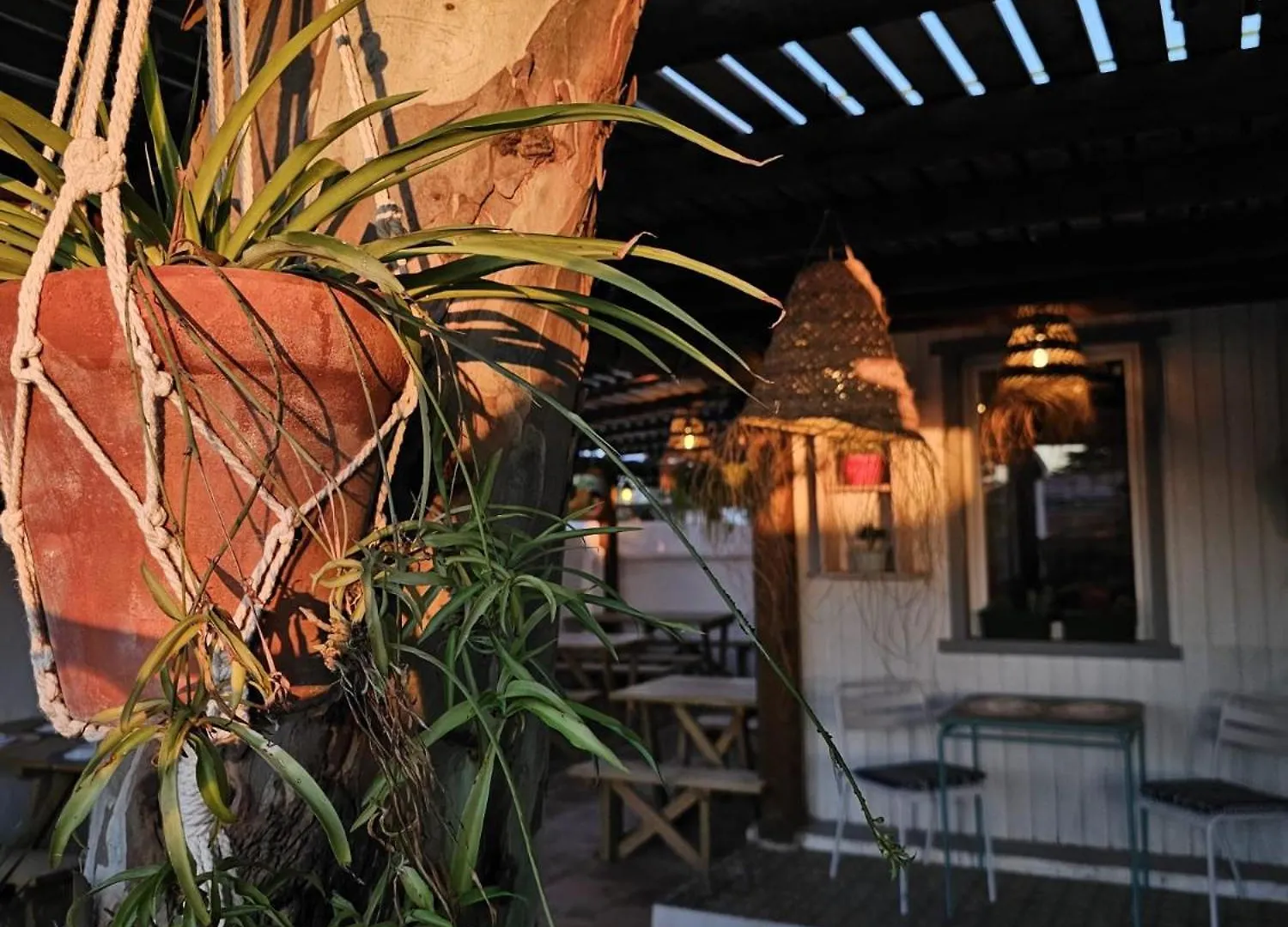 Casas Hacienda Sajorami Villa Barbate